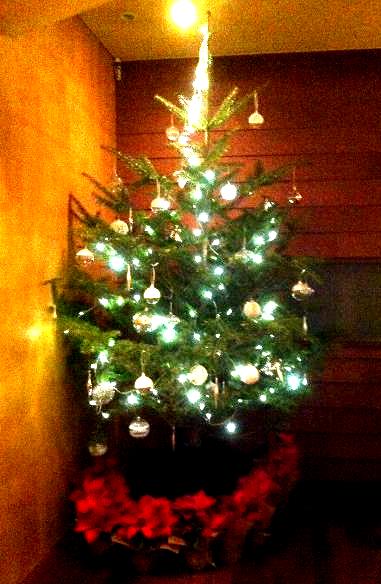 銀座で必見のクリスマスイルミネーションは？