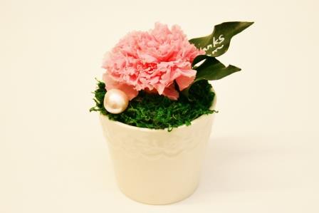 母の日にお菓子とお花のプレゼントはいかがですか？