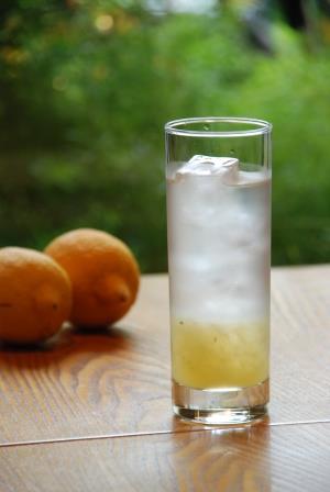 今年もやります！夏期限定レモネード販売中